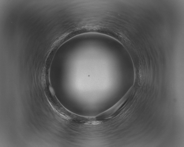X0000054390492200507291147