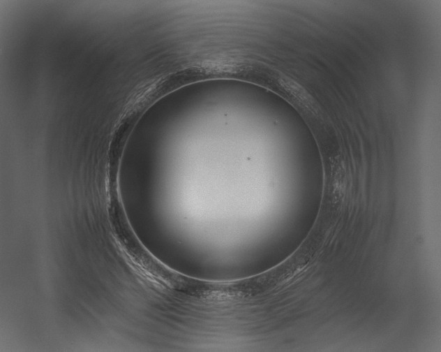 X0000054390494200507291147