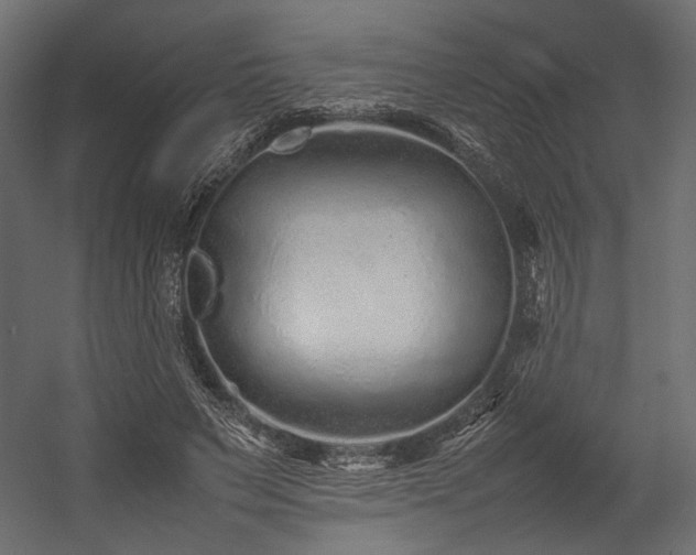 X0000054390495200507291147