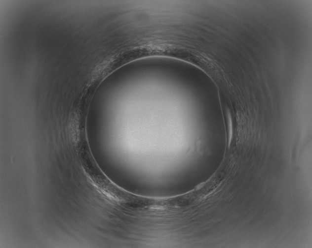 X0000054390496200507291147