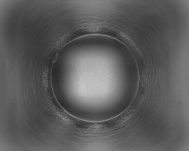X0000054390497200507291147