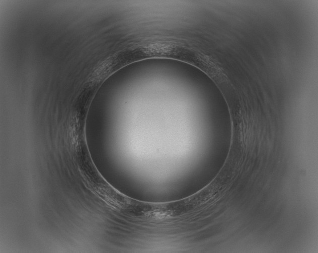 X0000054390498200507291147