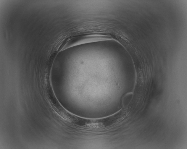 X0000054390499200507291147
