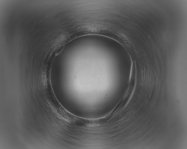 X0000054390500200507291147