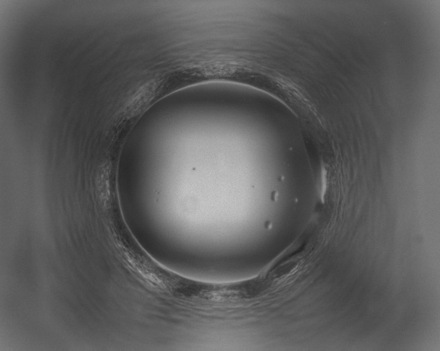 X0000054390501200507291147