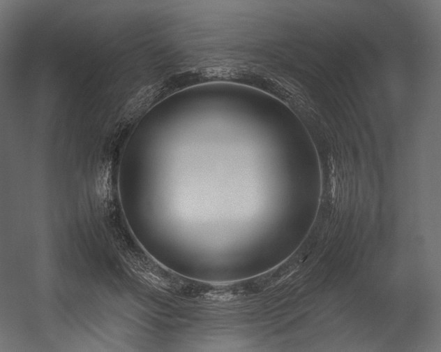X0000054390502200507291147