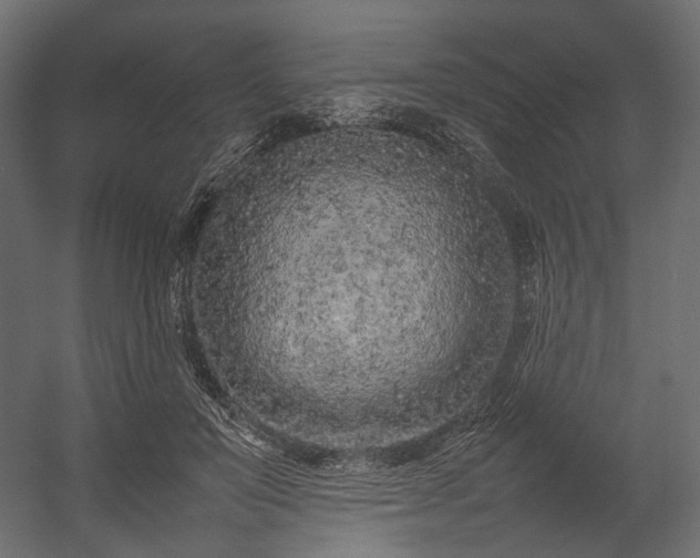 X0000054390503200507291147
