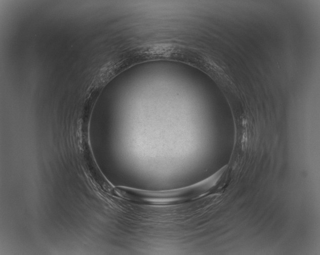 X0000054390504200507291147