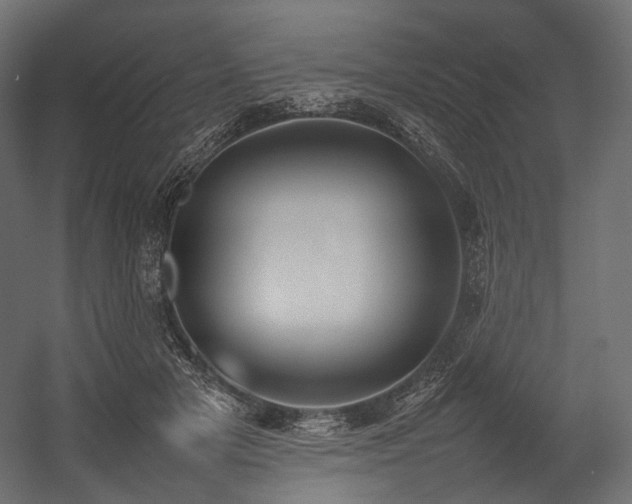 X0000054390505200507291147