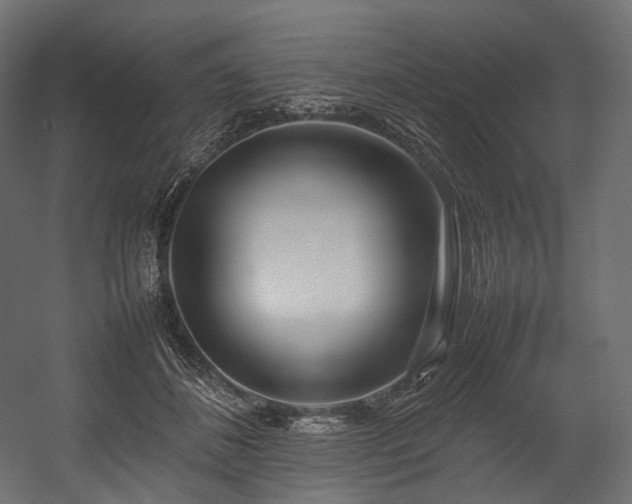 X0000054390508200507291147