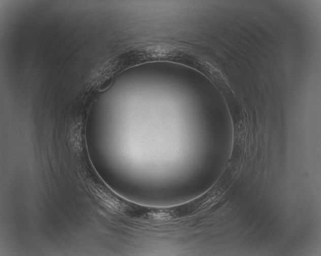 X0000054390509200507291147