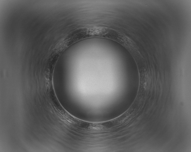 X0000054390510200507291147