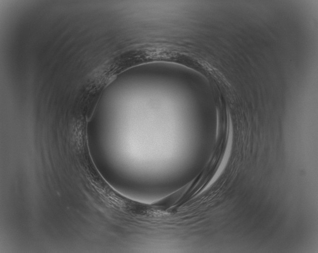 X0000054390513200507291147