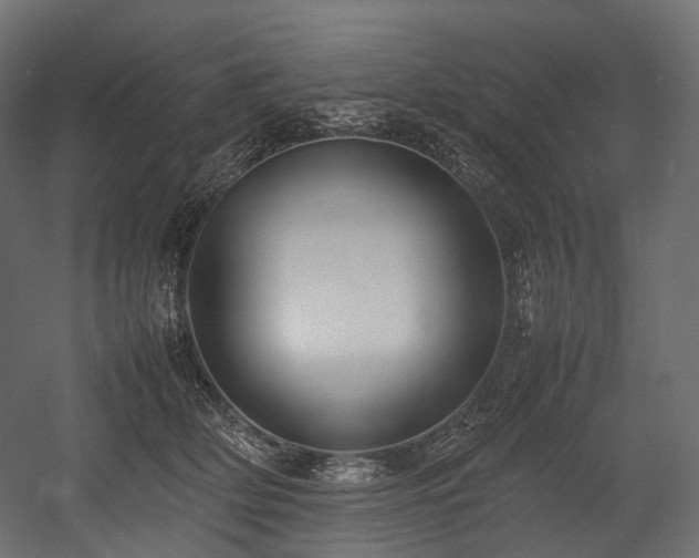 X0000054390514200507291147