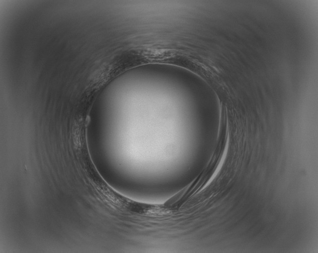 X0000054390515200507291147