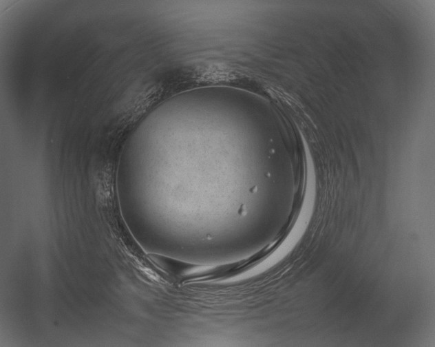 X0000054390517200507291147