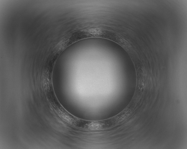 X0000054390518200507291147