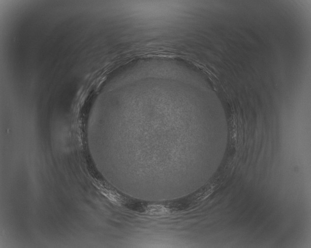 X0000054390519200507291147