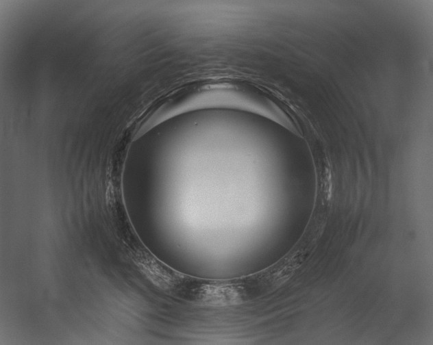 X0000054390520200507291147