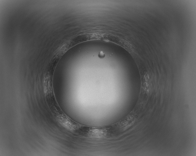X0000054390522200507291147