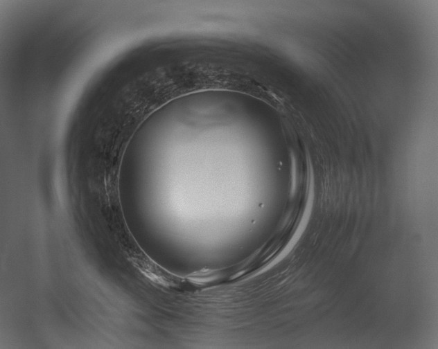 X0000054390524200507291147