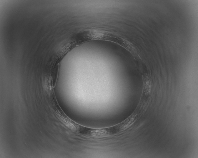X0000054390525200507291147
