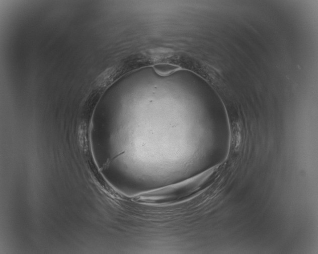 X0000054390527200507291147