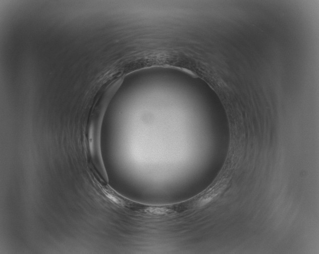 X0000054390528200507291147