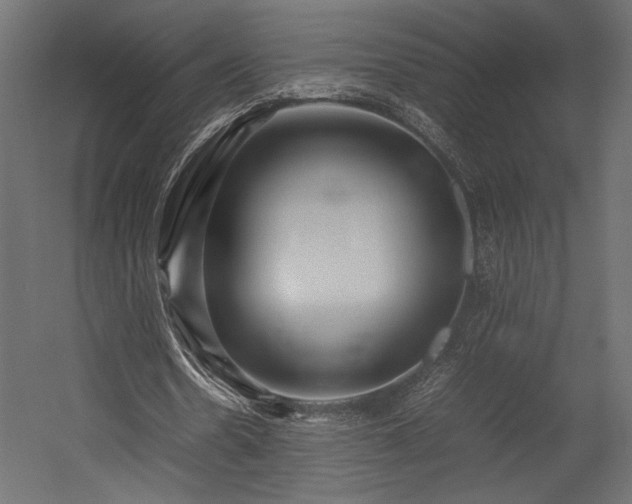 X0000054390530200507291146