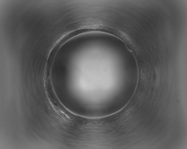 X0000054390532200507291146