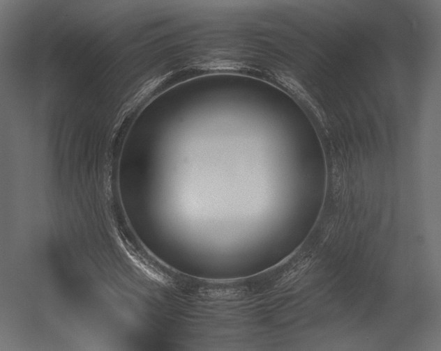 X0000054390533200507291146