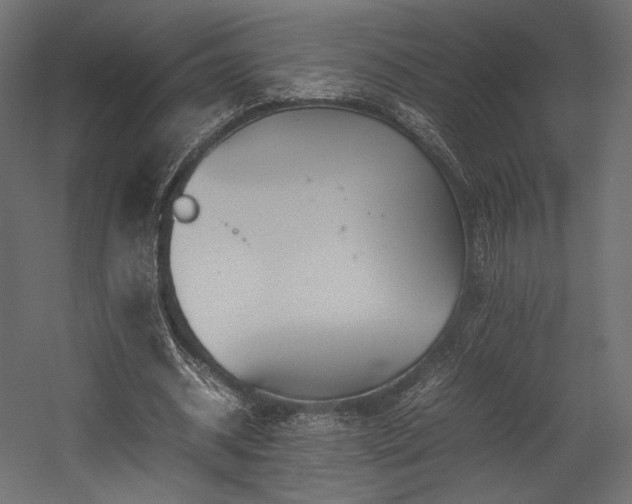 X0000054390534200507291146