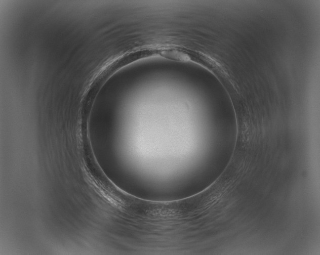 X0000054390535200507291146
