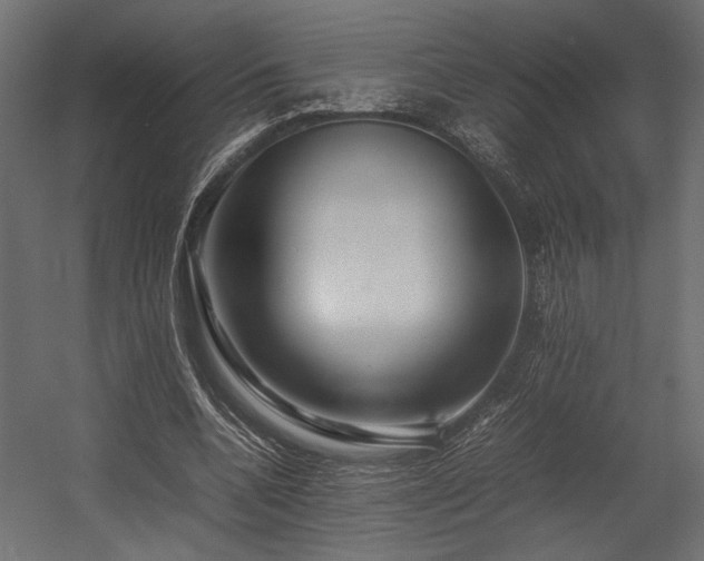 X0000054390536200507291146