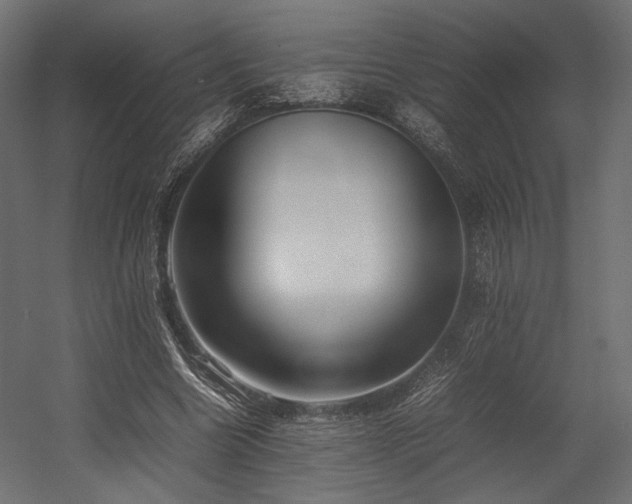 X0000054390538200507291146