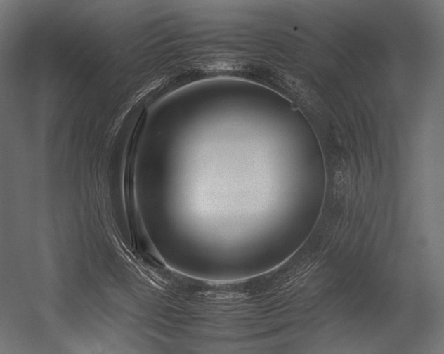 X0000054390539200507291146