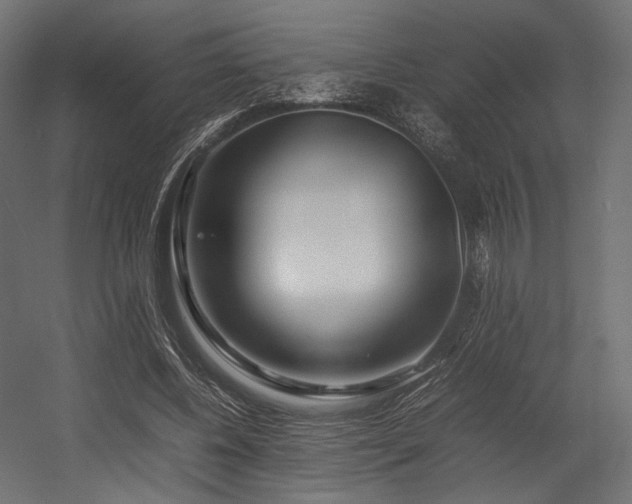 X0000054390540200507291146
