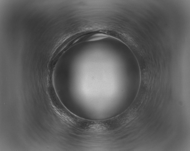 X0000054390544200507291146
