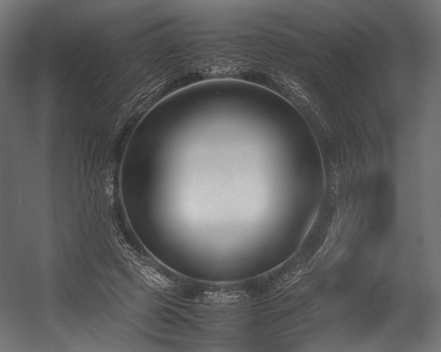 X0000054390545200507291146