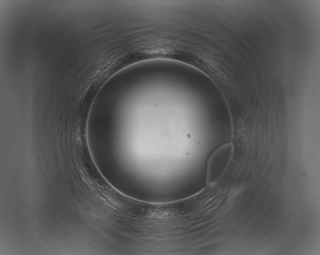 X0000054390547200507291146