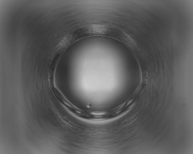 X0000054390552200507291146