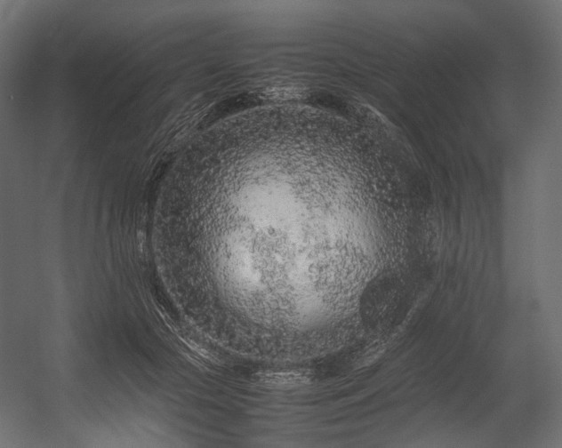 X0000054390553200507291146