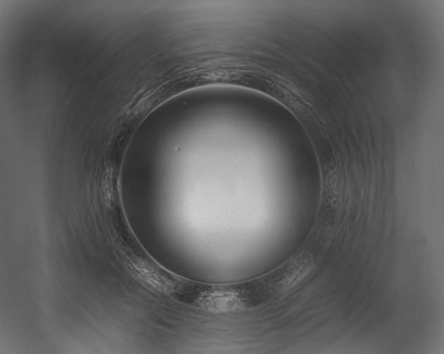 X0000054390554200507291146