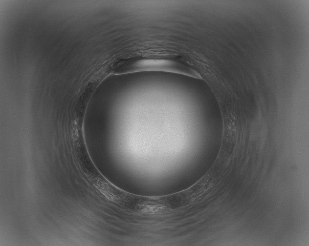 X0000054390555200507291146