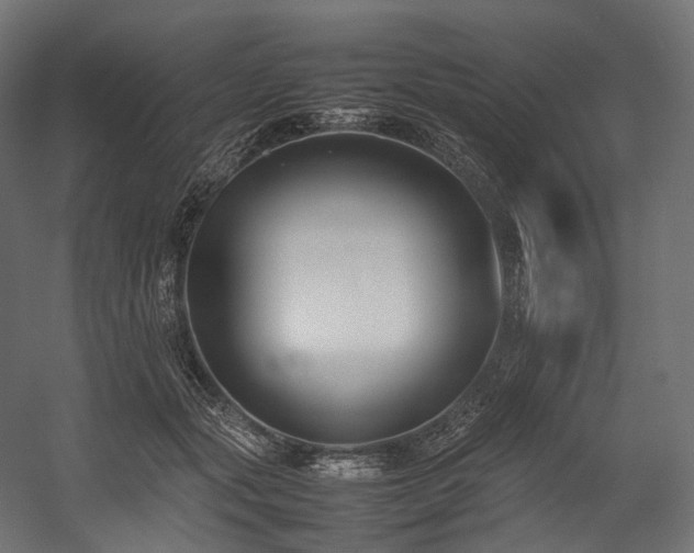 X0000054390557200507291146