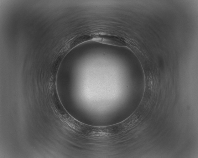 X0000054390559200507291146
