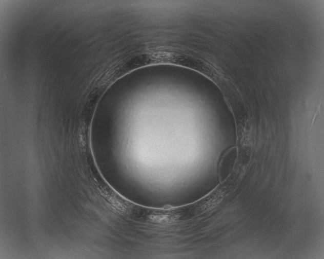 X0000054390561200507291146