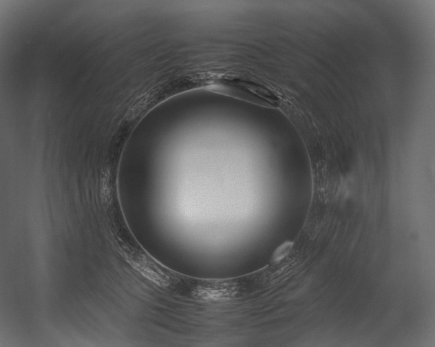 X0000054390563200507291146