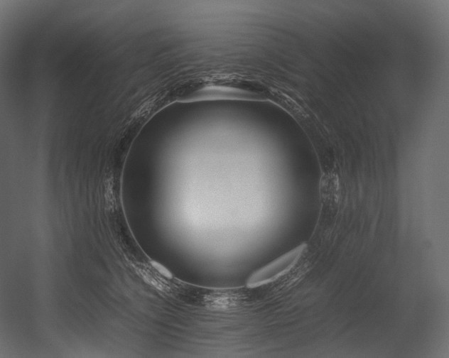 X0000054390564200507291147