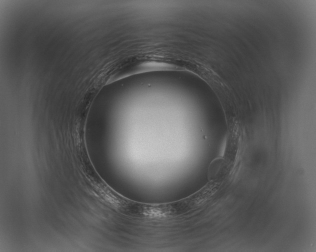 X0000054390565200507291147